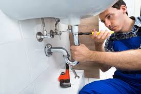 Commercial Plumbing Services in Rosewood Heights, IL